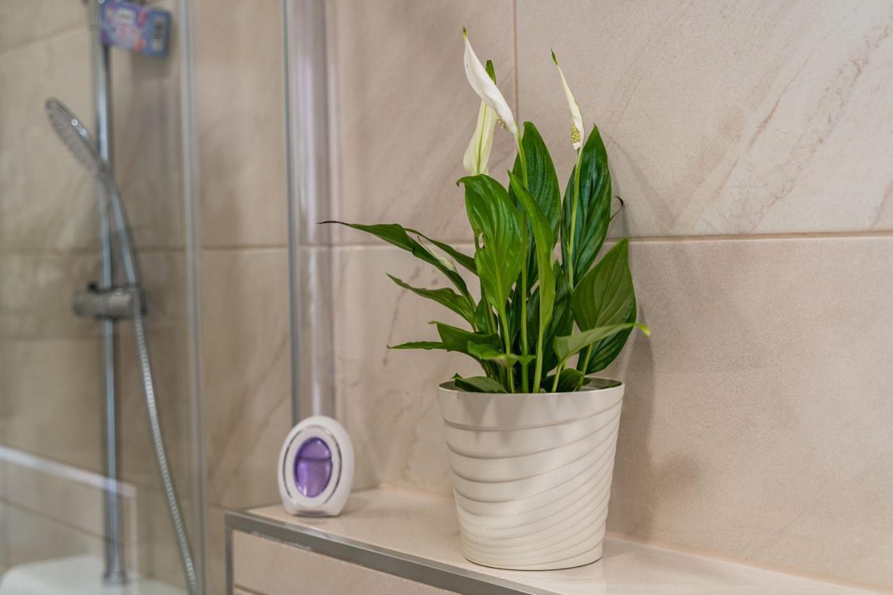 Apartmani Kralj Dubrovnik Dış mekan fotoğraf